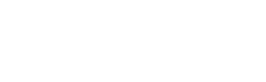 REVEAL EXPERTISE